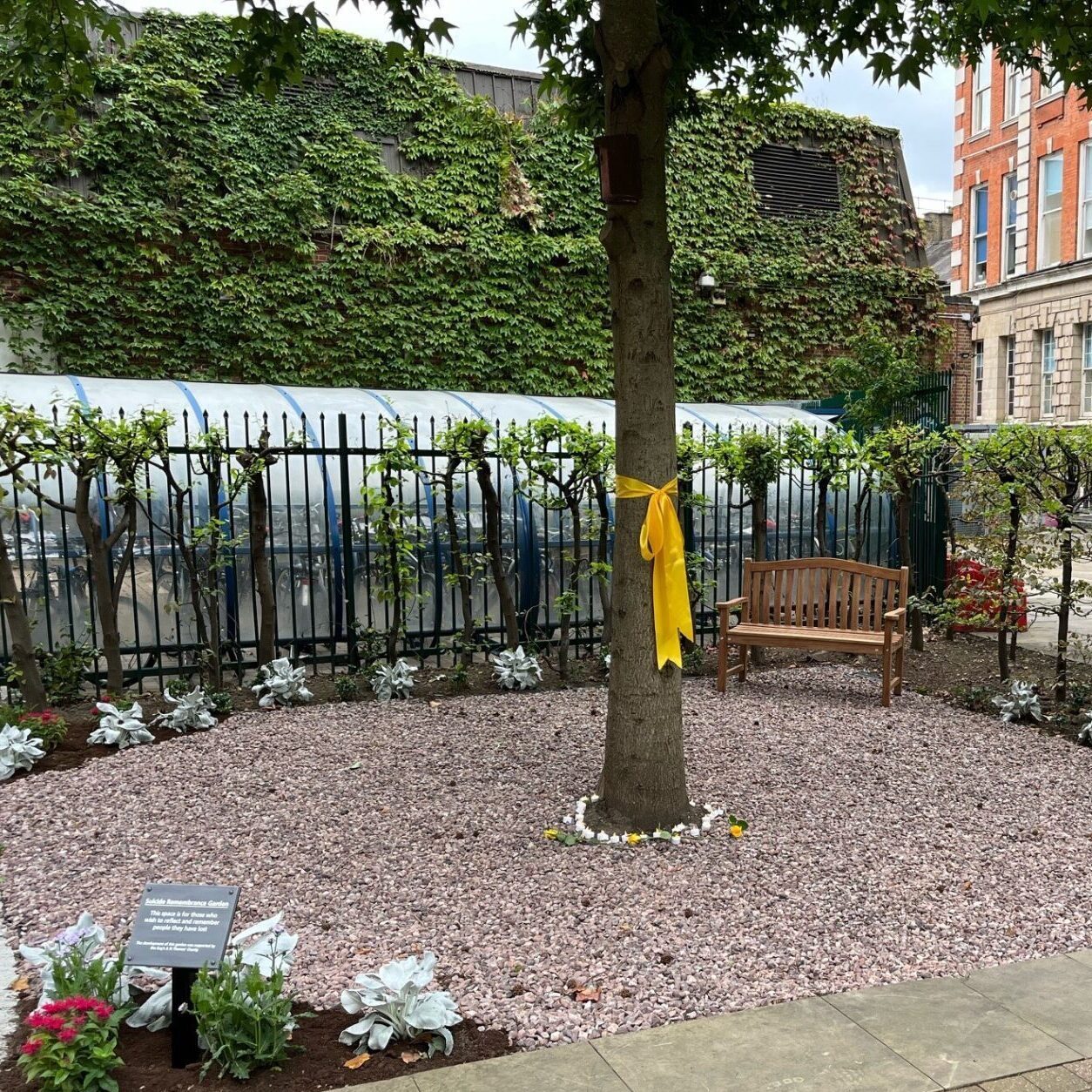 Suicide remembrance garden with a tree in the middle with yellow ribbon.