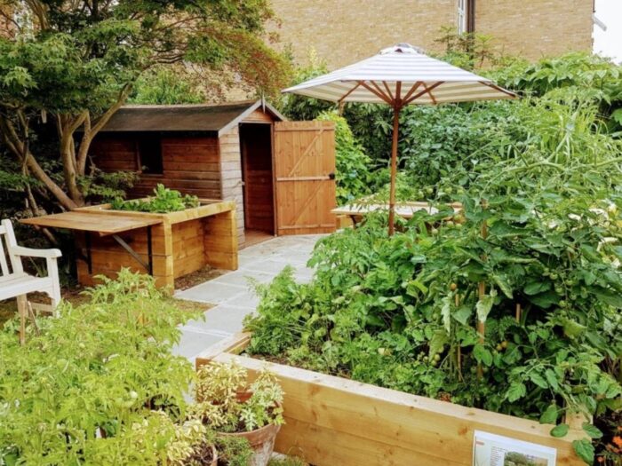Lambeth Community Care Centre garden, there is a planter in the front right, a brown shed in the back with a stripey umbrella and green leafy plants around.